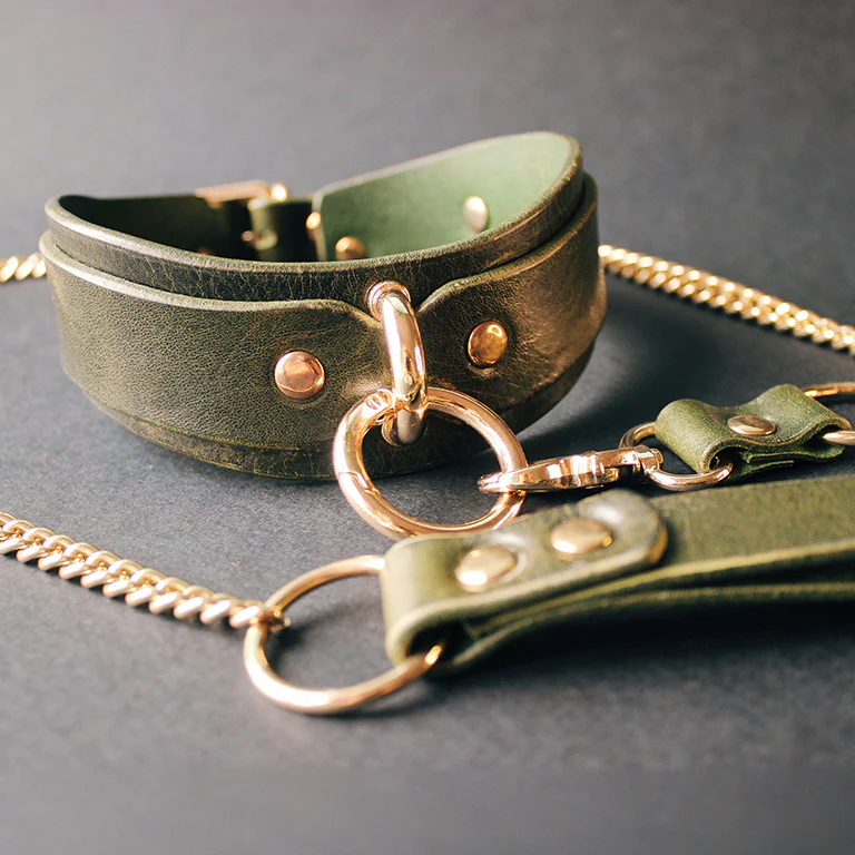 Leather Collar and Leash #1 - Image 5